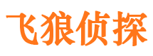 庄河市婚姻出轨调查